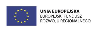 1 Platformy startowe dla nowych pomysłów, Poddziałania 1.1.1 Platformy startowe dla nowych pomysłów, finansowanego ze środków Europejskiego Funduszu Rozwoju Regionalnego.