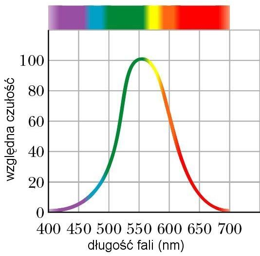 Widzenie barwne Widzenie barwne Względna czułość oka ludzkiego Obraz w oku powstaje na siatkówce oka fotoreceptory: pręciki i czopki.