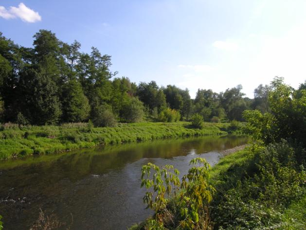 JCWP nie osiągnęła dobrego stanu z uwagi na umiarkowany potencjał ekologiczny, w tym umiarkowany potencjał ekologiczny w obszarach chronionych oraz niespełnione wymagania dodatkowe określone dla