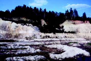 SYTUACJA GEOLOGICZNA I SK AD MINERALNY G ÓWNYCH WYSP LESSOWYCH... 175 ryc. 1) i w profilu Nowosady (14 na ryc. 1). Z ka dego z nich pochodzi jedna próbka.