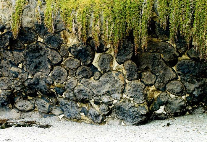 Budowa Ziemi skorupa oceaniczna osady głębokomorskie lawy poduszkowe dajki