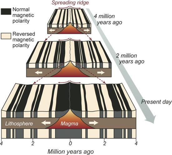 Budowa Ziemi skorupa oceaniczna skały o normalnej polarności magnetycznej skały o odwróconej polarności magnetycznej ryft 4 Ma lat temu 2 Ma lat temu dzisiaj litosfera magma Ma lat temu Jako pierwszy