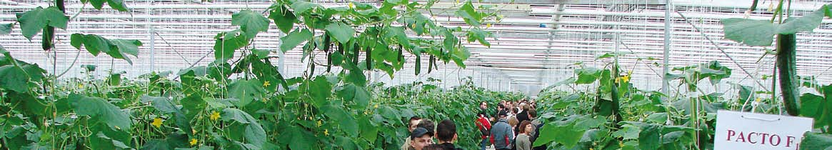 Dzieñ ogórkowy 24 marca w
