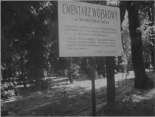 Historia cmentarza cofa nas myślą daleko wstecz. Bezpośrednim bodźcem jego powstania była epidemia tyfusu i cholery, która wybuchła w mieście na przełomie lat 1848-1849.