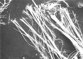 antofyllit (Mg, Fe) 7 [(OH)Si 4 O 11 ] 2 Jest krzemianem magnezowym zawierającym żelazo, czasem zawiera domieszki glinu. Wykazuje charakterystyczną włóknistą oddzielność.