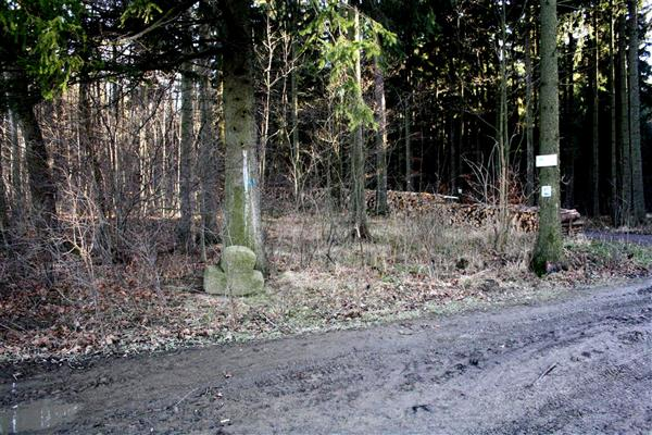 Zamku Cisy na szczęście już tylko 5 min Przepraabuciki