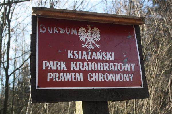 ołaściie charakterze dobry oaronię.