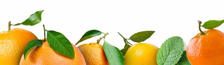 PURE Vitalize Mieszanka orzeźwiająca Obudź swoje zmysły i poczuj przypływ energii dzięki mieszance PURE Vitalize, stanowiącej kompozycję orzeźwiających olejków eterycznych z nutami pomarańczy,