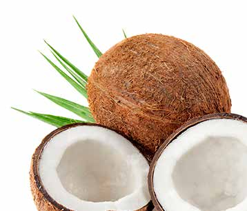 #9371 PURE Frakcjonowany olejek kokosowy 118 ml Lekki, praktycznie pozbawiony zapachu Szczegóły PURE Frakcjonowany Olejek Kokosowy Melaleuca to doskonały, w pełni naturalny środek nawilżający, mający