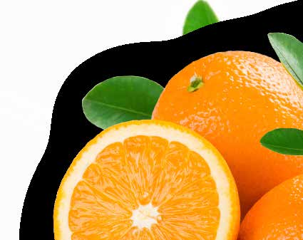 PURE Pomarańcza Citrus Sinensis Doskonale znany ze swoich właściwości oczyszczających pomarańczowy olejek eteryczny odznacza się świeżym, czystym, cytrusowym zapachem, przywołującym uczucie szczęścia