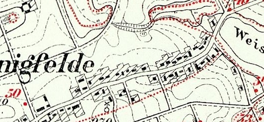 Trzciano (niem. Honigwelde)- wieś ulicowa z zachowanym układem historycznym i częściowo z zabudową.