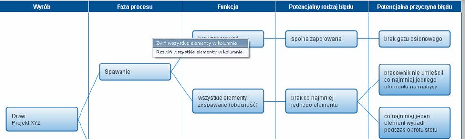 Można zwinąć grupowo kolumny Faza procesu (Element konstrukcji), Funkcja,