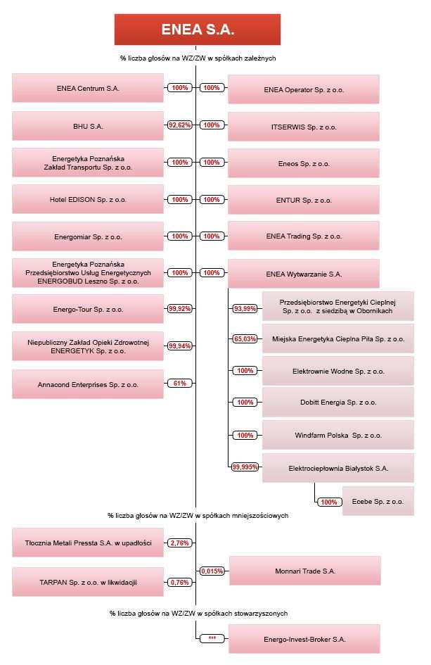 Schemat organizacyjny przedstawiający strukturę