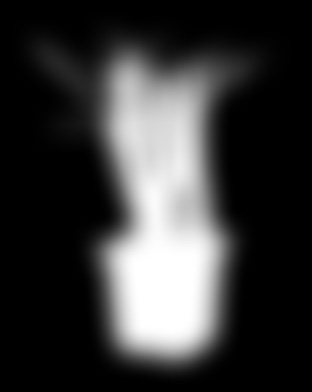 AGROTKANINA,6x5 m -