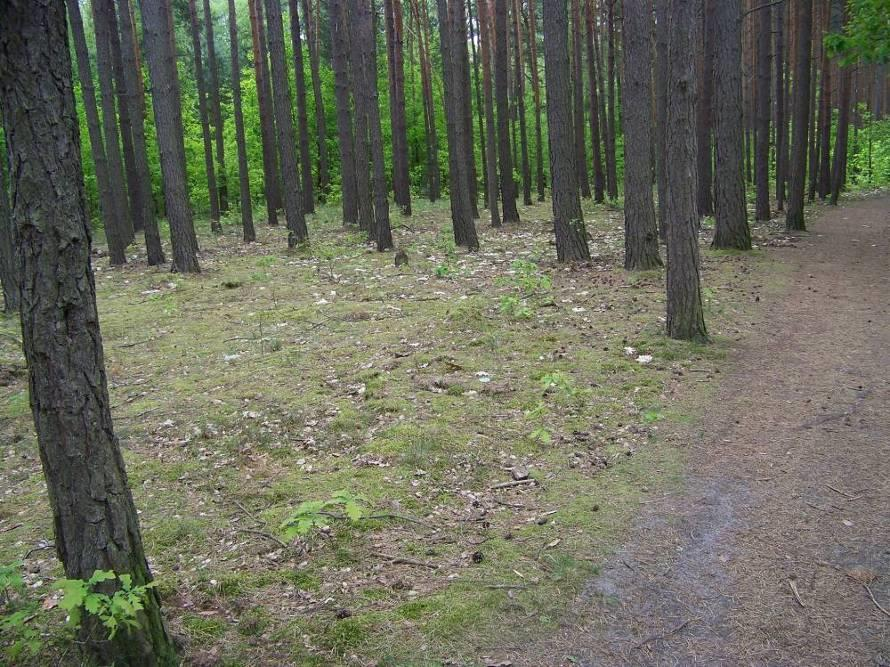 1.10 Nazwa pkt Koszt Budowa ścieżki zdrowia na