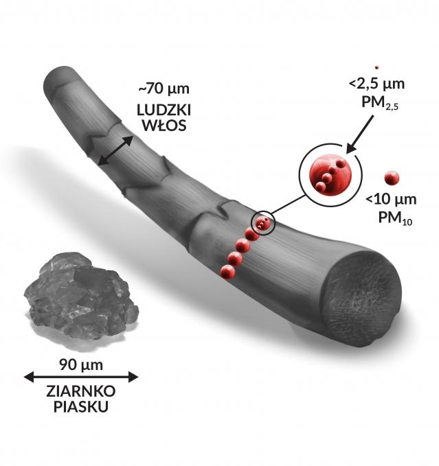 Niska emisja SMOG 15/22 W smogu szczególnie niebezpiecznymi dla zdrowia są: pyły zawieszone PM10 i PM 2,5 rakotwórczy benzo(a)piren Inne gazy: dwutlenek azotu, dwutlenek siarki