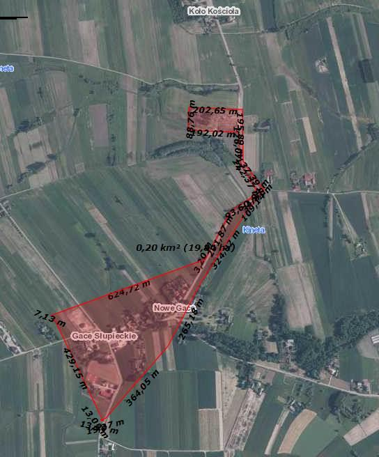 Obszar rewitalizacyjny nr 8 fragment sołectwa Gace Słupieckie Liczba osób zamieszkałych na obszarze rewitalizacji 46 osób, tj.