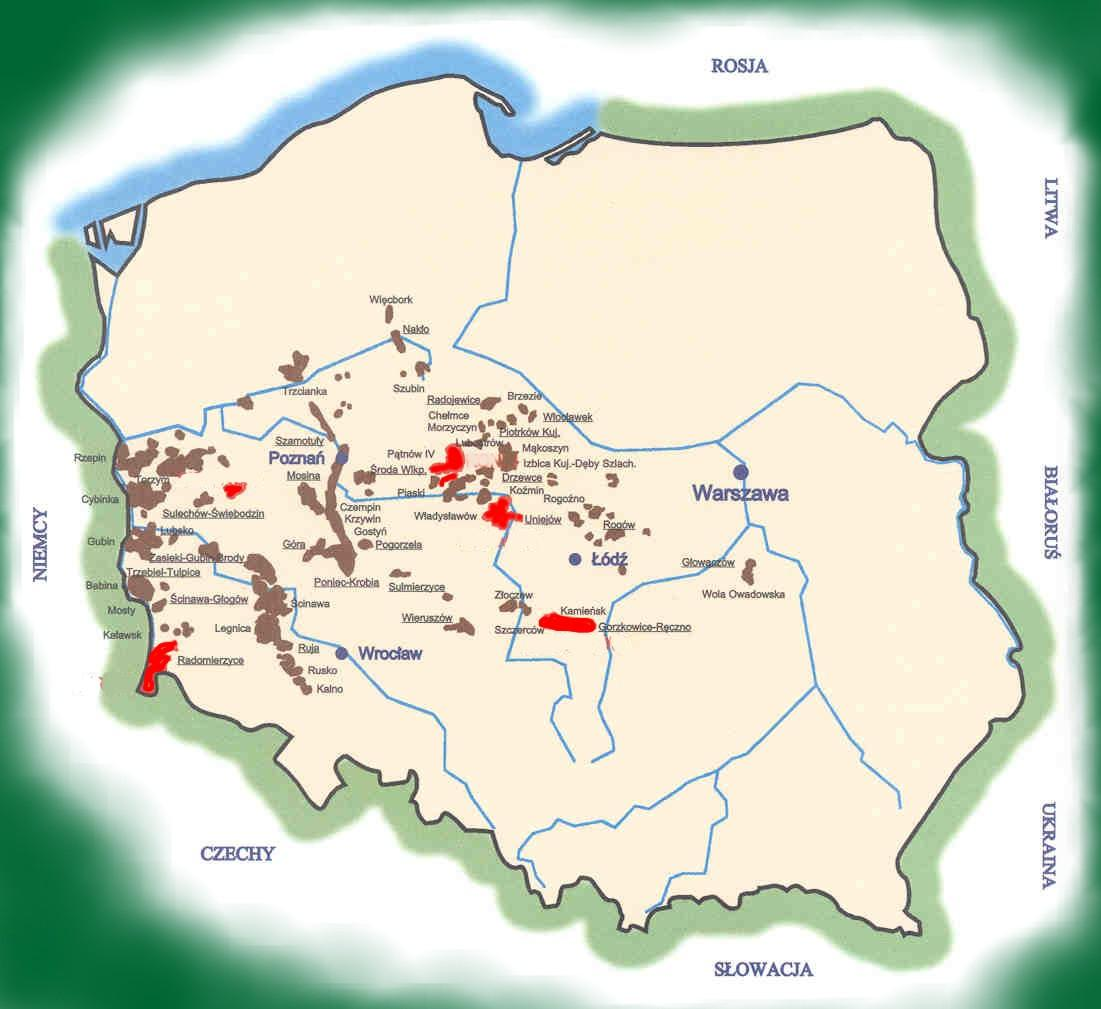 Złoża węgla brunatnego w Polsce źródło : Państwowy Instytut