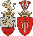Załącznik do uchwały nr VIII/62/15 Rady Miasta Zduńska Wola z