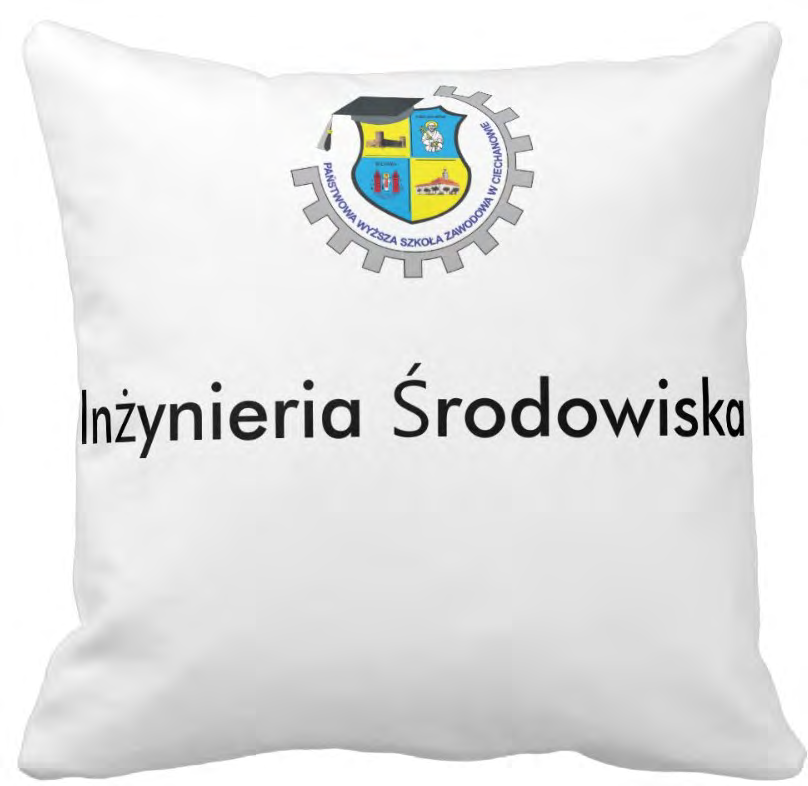 Inżynieria Środowiska dyscyplina