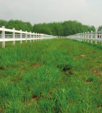 Tymczasem posiadacze winylowych ogrodzeń farmerskich Top Fence mogą skoncentrować się na swoich zwierzętach, bowiem zalecanym i