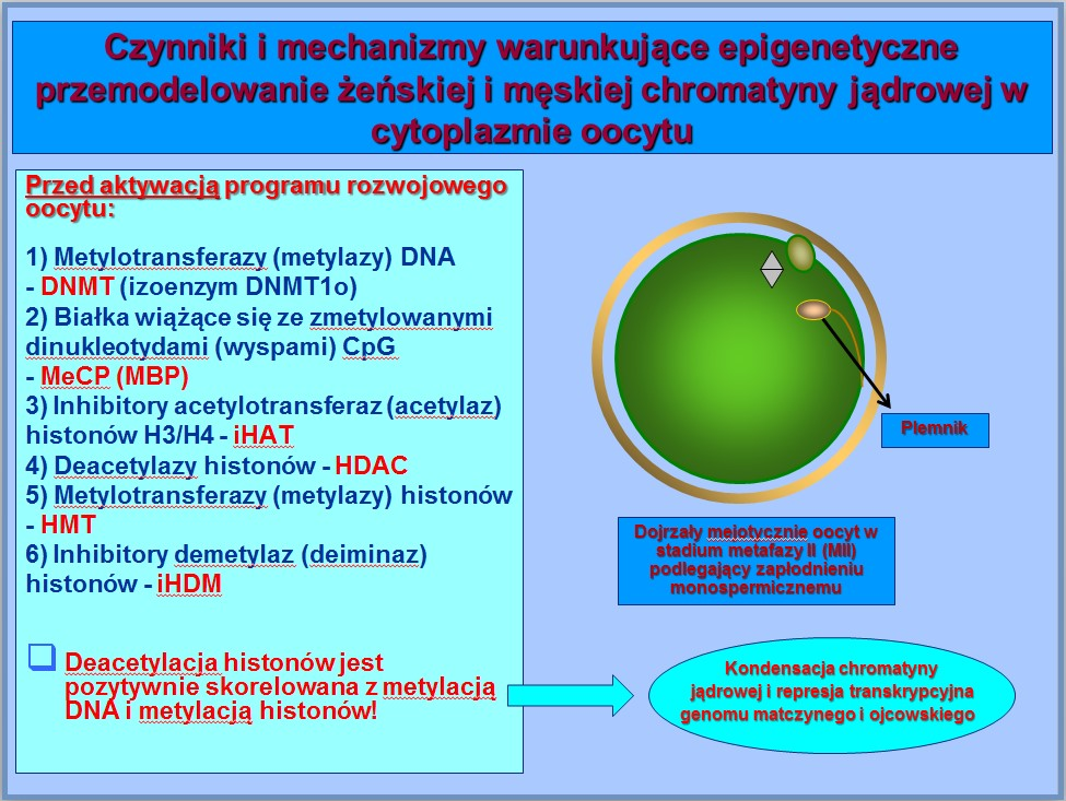 Ryc. 2.