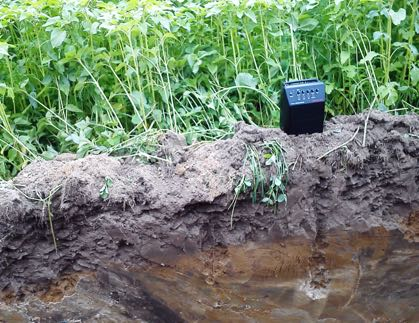 ActaInnovations,ISSN230045599,nr13,2014 ność pożytecznej fauny i flory jest nieodzowna do zaistnienia wielu procesów strukturotwórczych, rozkładu resztek pożniwnych, mineralizacji, co w sumie