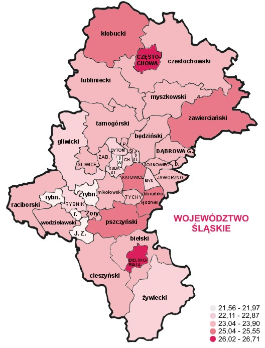 9. Informacje o wynikach egzaminu 2004 w powiatach woj. śląskiego Województwo śląskie okazuje się być bardzo jednorodne, jeśli chodzi o średnie wyniki w powiatach.
