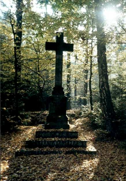 3. Obiekty zabytkowe Do zabytków budownictwa i architektury na terenie sołectwa Wielonek zalicza się: zespół szkolny, mur pocz. XX w.