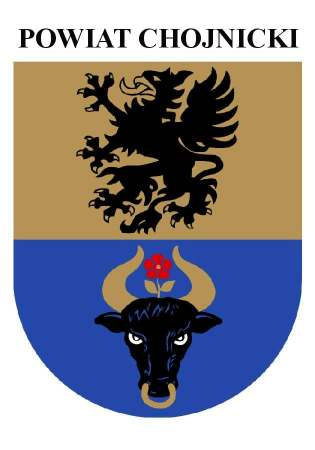 BR.0054-3/07 KOMISJA REWIZYJNA RADY POWIATU CHOJNICKIEGO