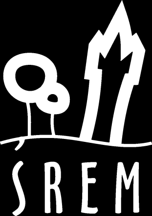 GMINA ŚREM PLAN ODNOWY MIEJSCOWOŚCI: MECHLIN