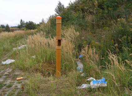 normach polskich i branżowych.