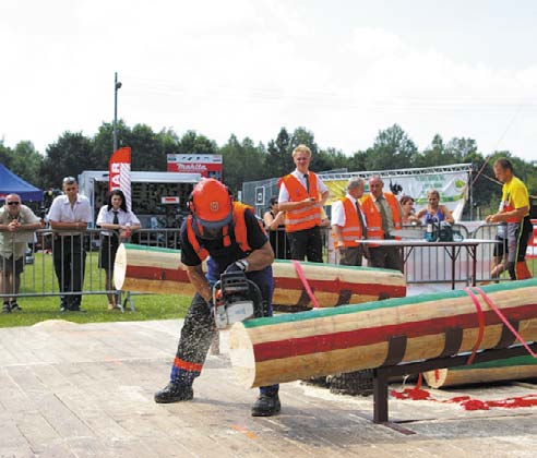 Hitachi różdżka tryska