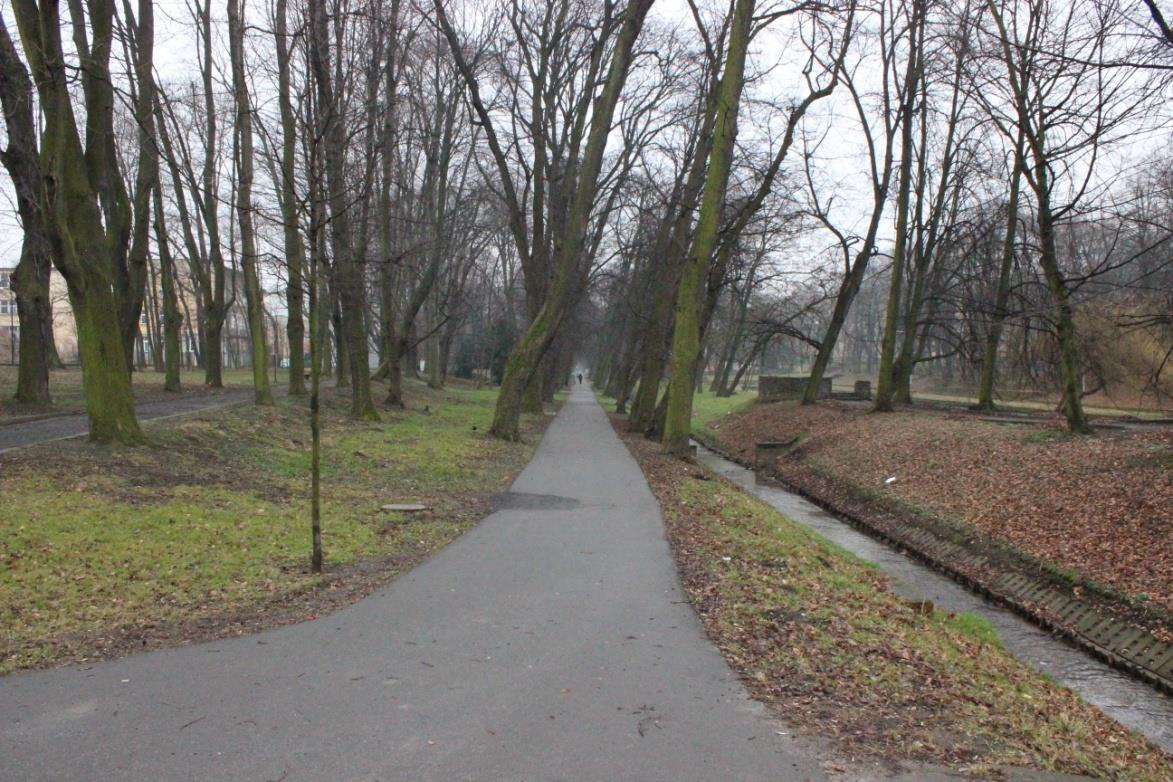 Rysunek 9 Nawierzchnia trasy rowerowej w Głubczycach Trasa Śladami naszych zabytków jest trasą o długości 30 km posiada średni stopień trudności oraz prowadzi przez asfaltowe drogi publiczne, liczne