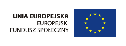 1/1/13 Program Operacyjny Kapitał Ludzki Priorytet VI Rynek pracy
