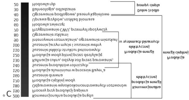 trycznego z gor¹cych par i wód o temperaturze powy ej 150 C (w instalacjach binarnych istnieje mo liwoœæ wytwarzania energii elektrycznej z wód o temperaturze poni ej 100 C); (ii) wykorzystanie