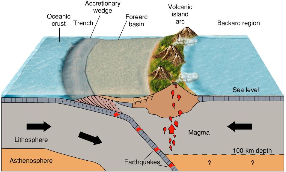 Granice konwergentne typu ocean - ocean Rów oceaniczny to silnie wydłużone obniżenie dna oceanu o głębokości znacznie poniżej średniego poziomu den basenów oceanicznych.