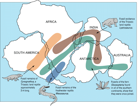 Dryf kontynentów - Gondwana Afryka Płw.