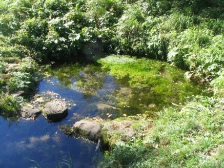 Współczesne Problemy Hydrogeologii Regionalnej, Lądek Zdrój, s. 42-49. Wyd. Uniw. Wrocł.