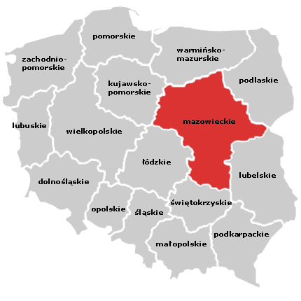 Profil lubelskiego turysty pochodzenie Co trzeci (30,4%) krajowy turysta pochodzi z województwa mazowieckiego. Większość z nich (60%) odwiedza Lublin w celach służbowych.