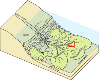 Fig. 6. Model of a submarine fan (see also Reading, Richards, 1994) Model stożka sedymentacyjnego (por.