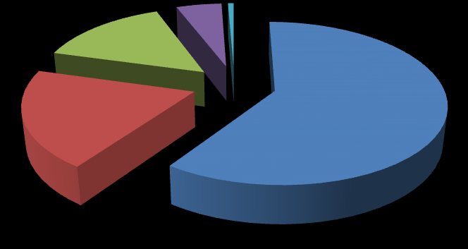 Graficzne przedstawienie dzieci w rodzinnej pieczy zastępczej na terenie powiatu w 2015r.