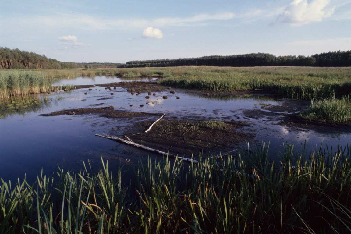 UŜytki ekologiczne 2260 uŝytków