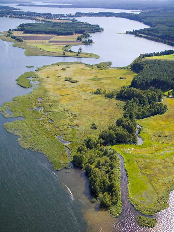 Obszary Natura 2000 8 Obszarów Specjalnej Ochrony Ptaków Bagienna Dolina Drwęcy Błota Rakutowskie Bory Tucholskie Dolina Dolnej Wisły