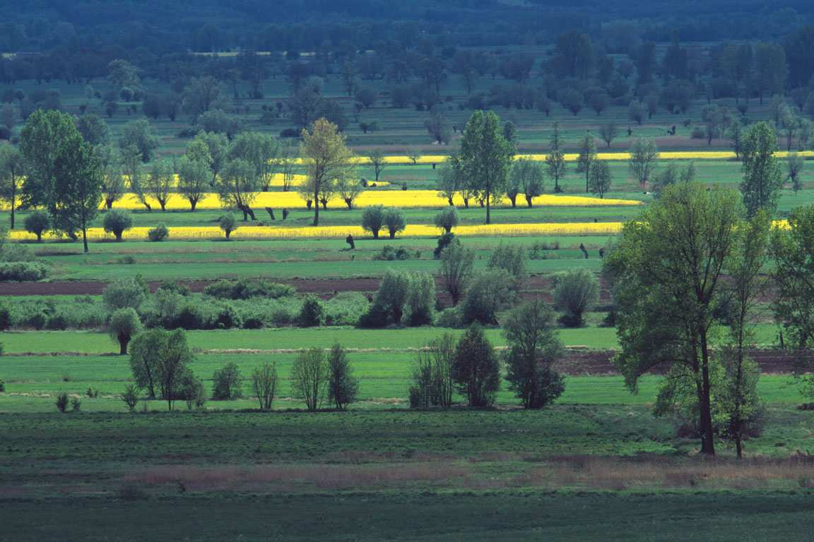 Zespół Parków Krajobrazowych