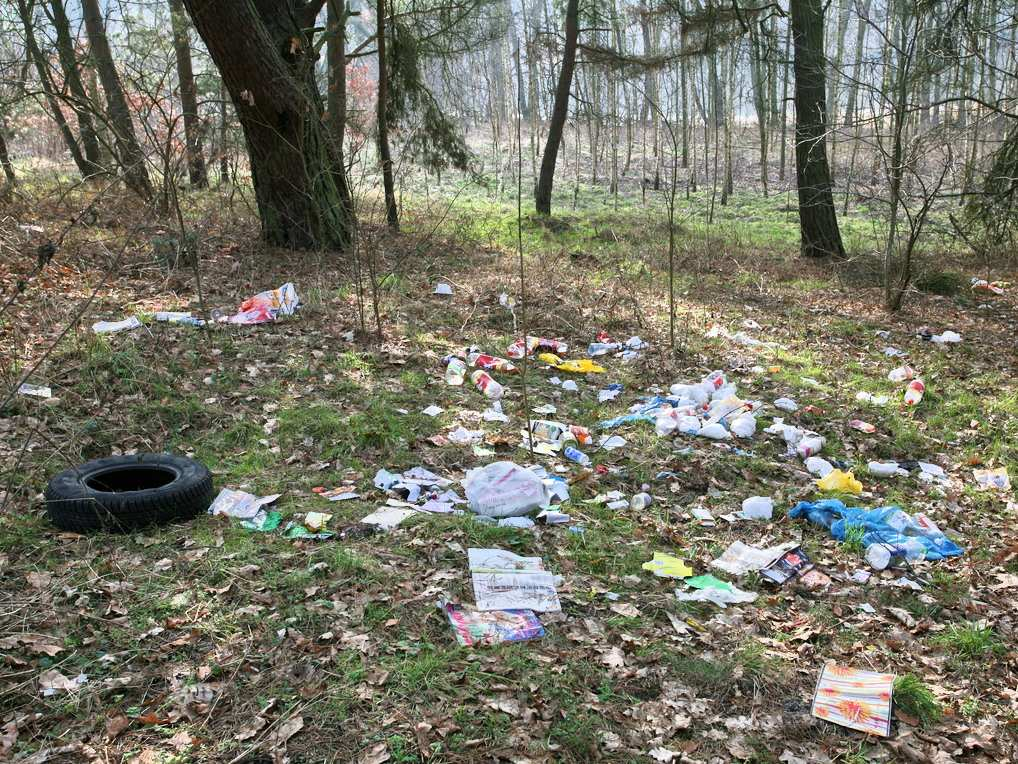Inne problemy zaśmiecanie Śmieci uprzątnięte z lasów: 6822 m 3 Koszty 680 tys.