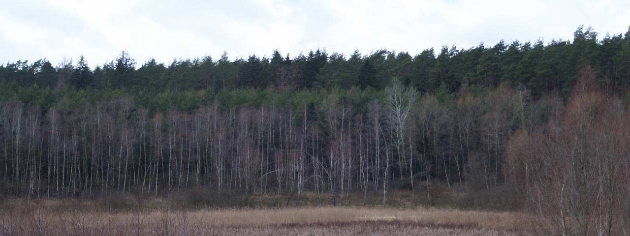 Skutki niedostatku