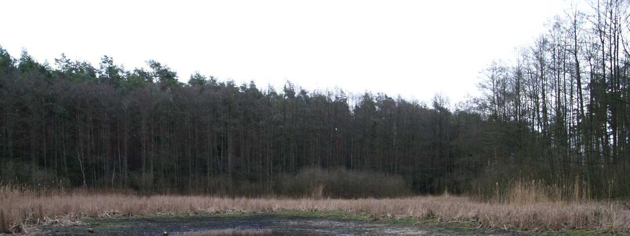 Skutki