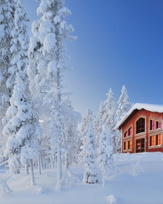 Finlandia - śnieżne