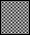 Director: Fr.